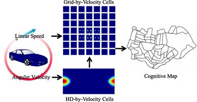 Cognitive Mapping Based on Conjunctive Representations of Space and Movement